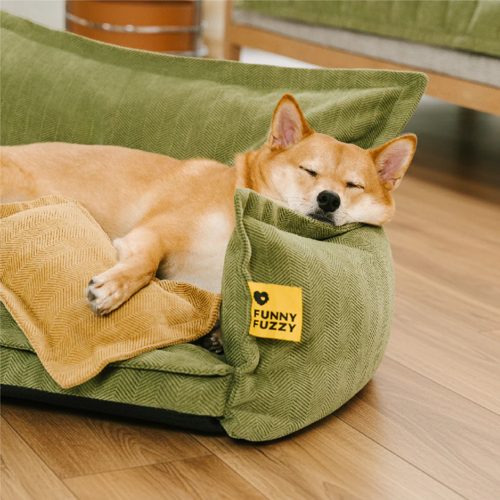 All-Season Chenille Dual-layer Removable Sponge Orthopedic Dog Bed With Pillow - Image 3