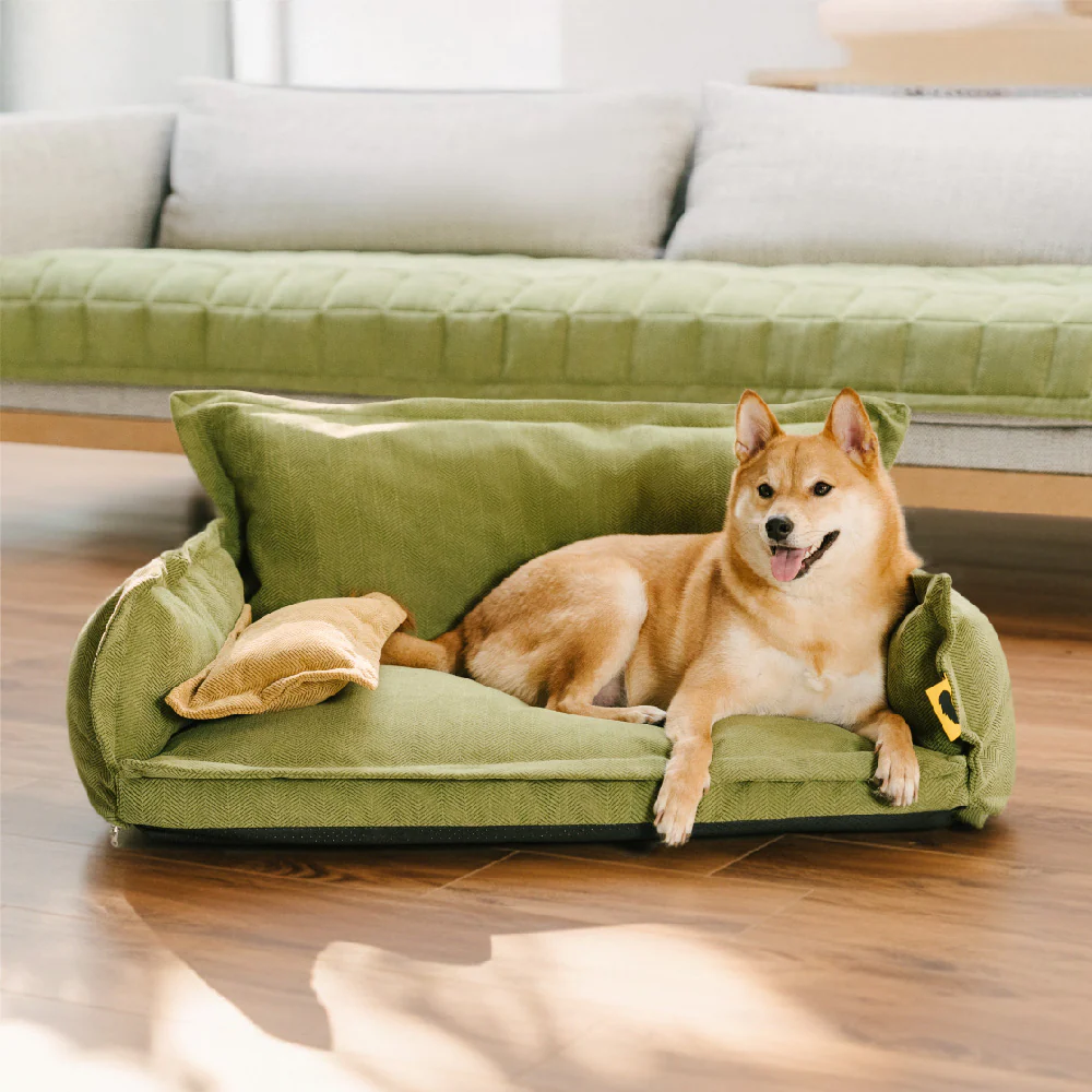 All-Season Chenille Dual-layer Removable Sponge Orthopedic Dog Bed With Pillow - Image 9