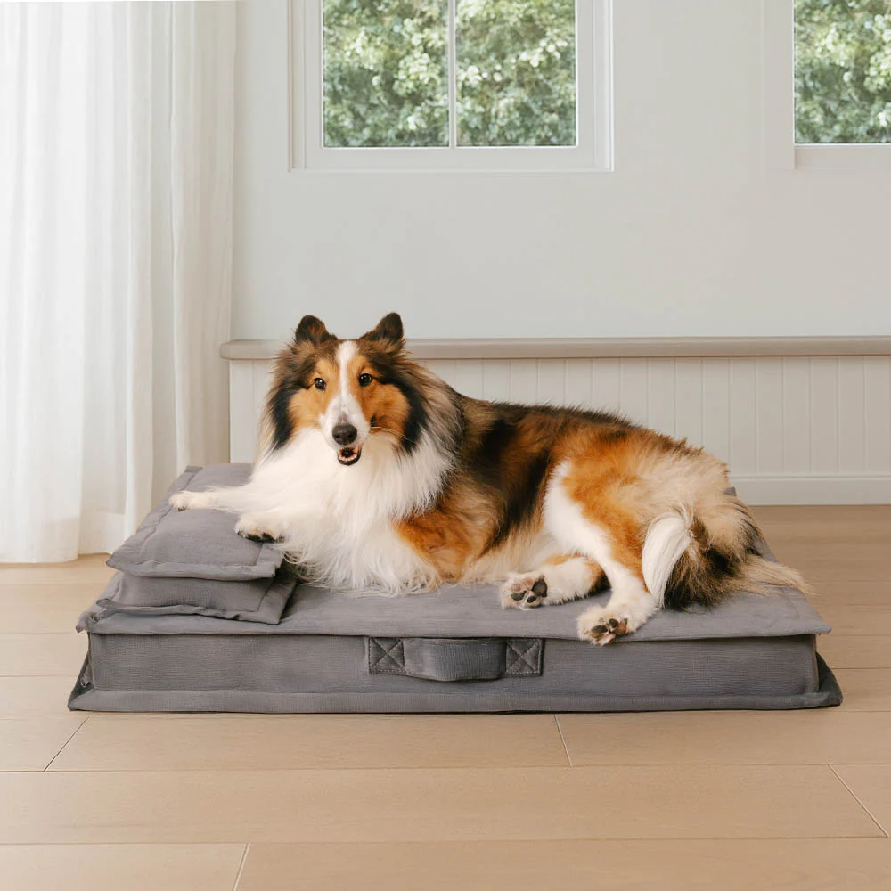 Anti-Anxiety with Sponge Support Deep Sleeping Dog Bed - Image 10