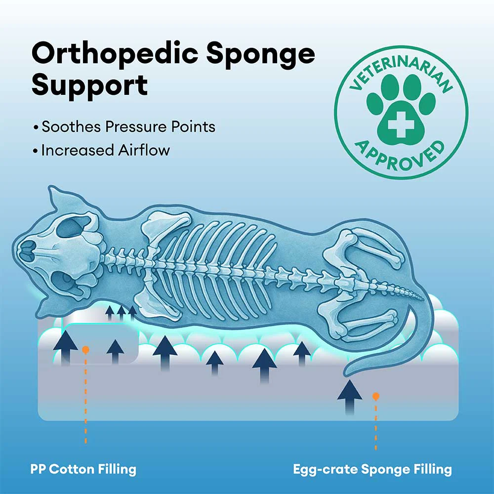 Anti-Anxiety with Sponge Support Deep Sleeping Dog Bed - Image 3