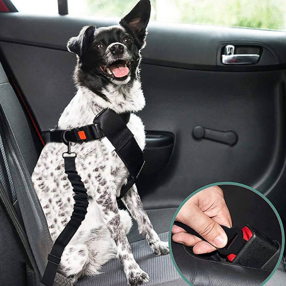 Buffer Adjustable Dog Car Seat Belt - Image 14