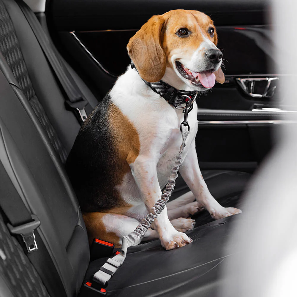 Buffer Adjustable Dog Car Seat Belt - Image 15