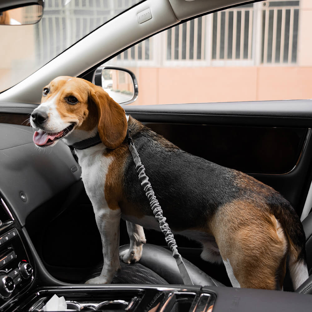 Buffer Adjustable Dog Car Seat Belt - Image 16