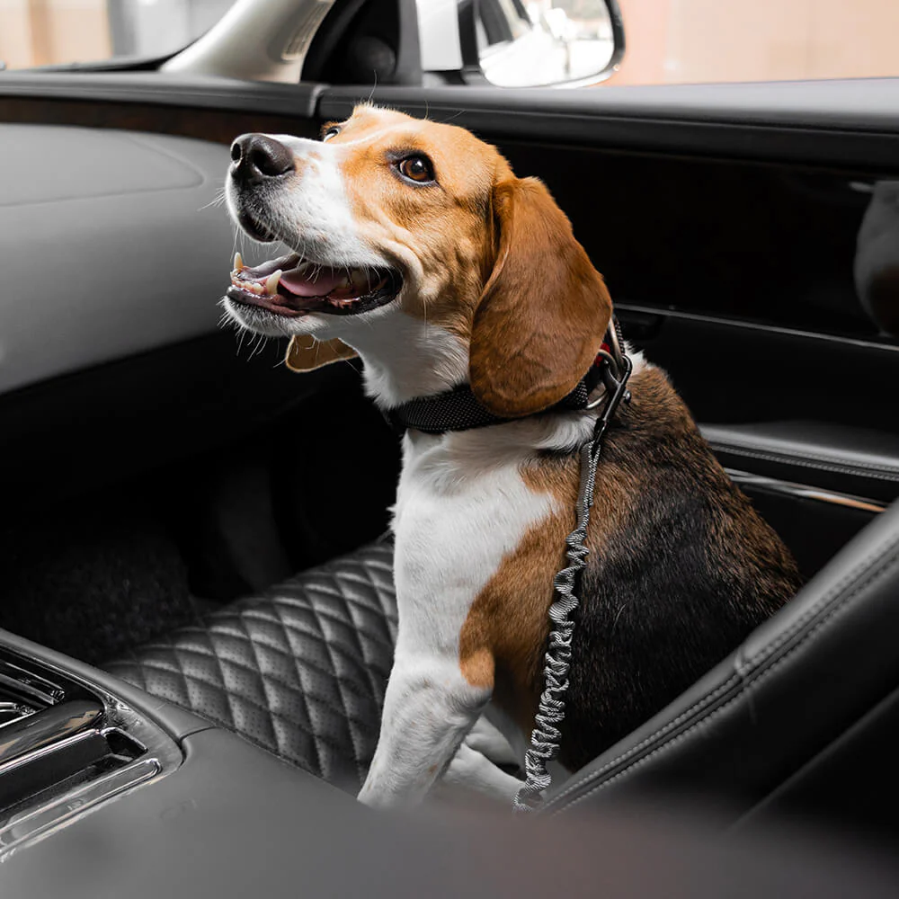 Buffer Adjustable Dog Car Seat Belt - Image 20
