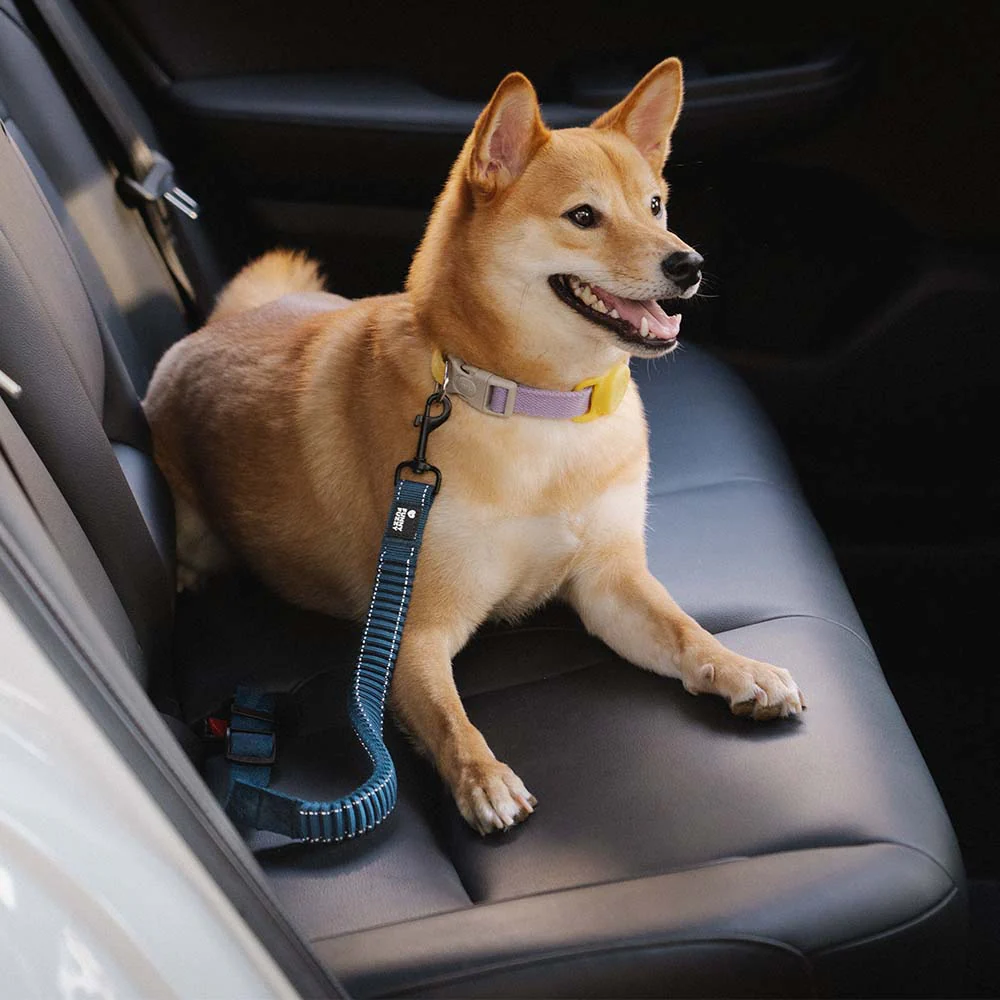 Buffer Adjustable Dog Car Seat Belt - Image 4