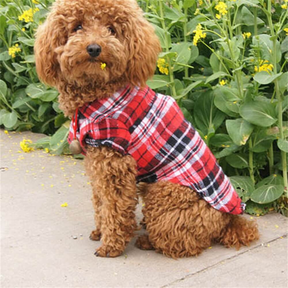 Classic Plaid Dog Shirt - Cosy and Stylish for Every Occasion - Image 6