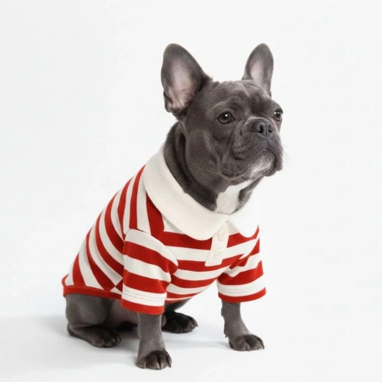 Classic Striped Polo Dog Shirts - Image 3