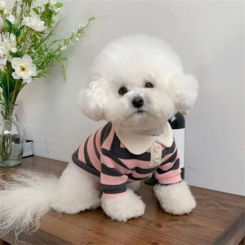 Classic Striped Polo Dog Shirts - Image 5