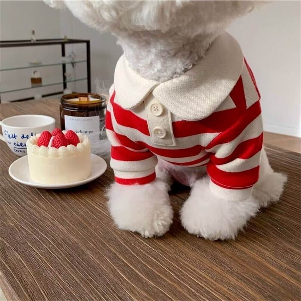 Classic Striped Polo Dog Shirts - Image 7