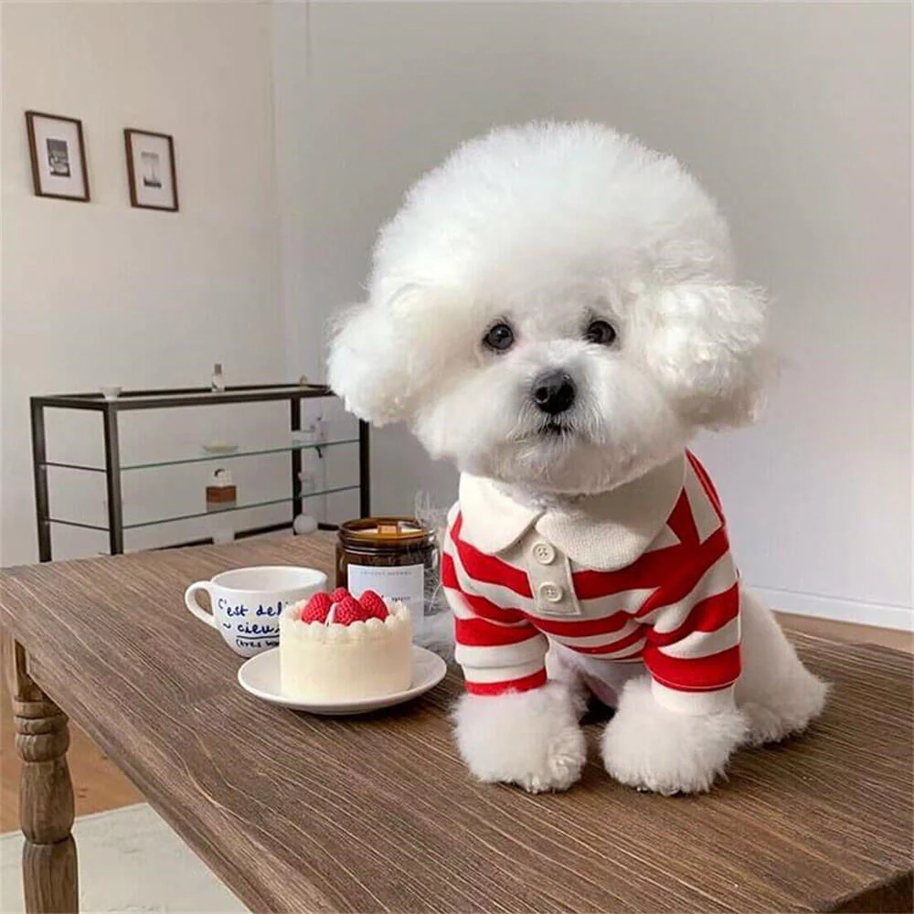 Classic Striped Polo Dog Shirts - Image 8