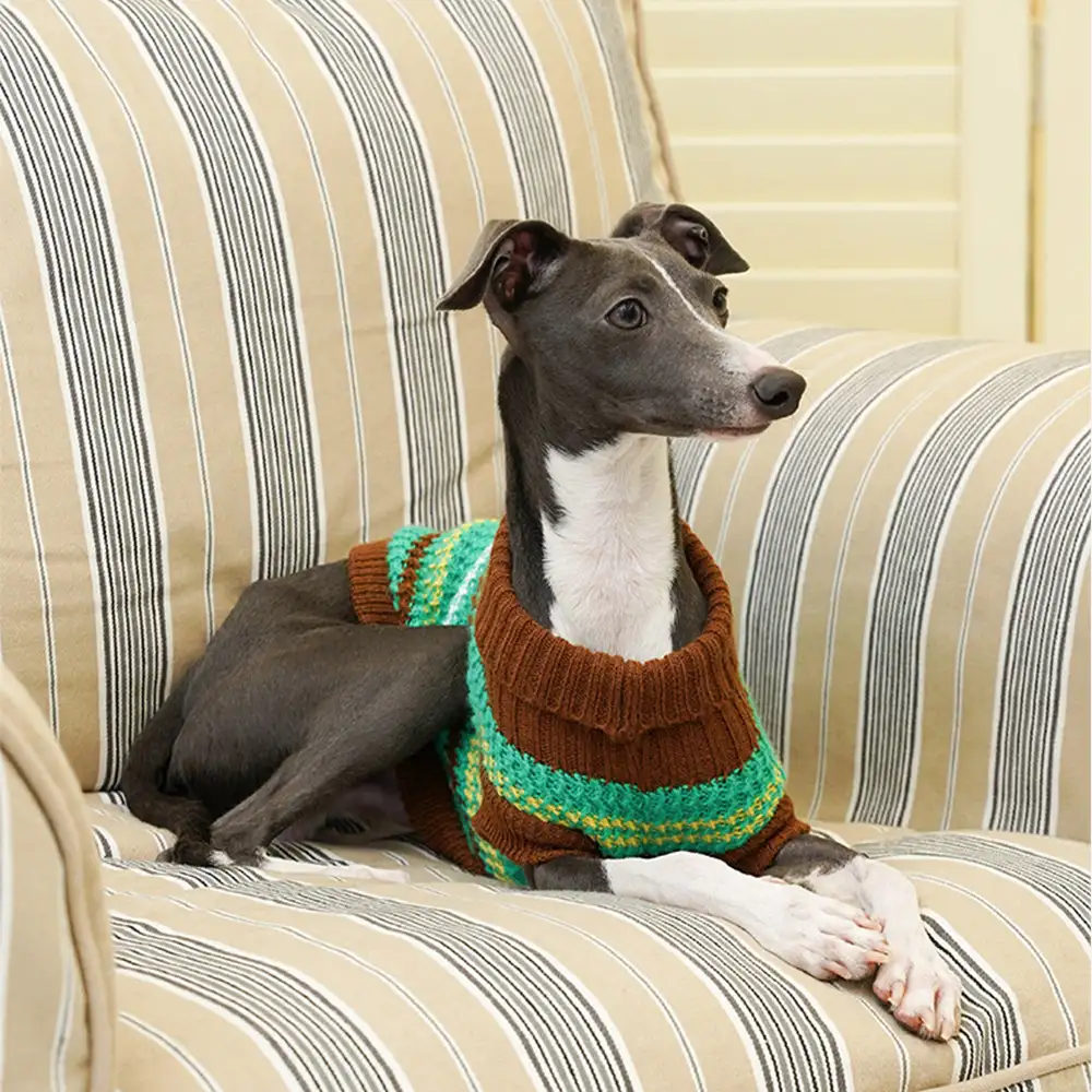 Color Blocked Striped Dachshund Dog Jumper - Image 12