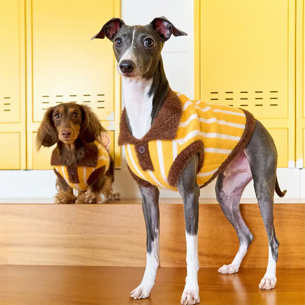 Color Blocked Striped Dachshund Polo Collar Dog Jumper - Image 3