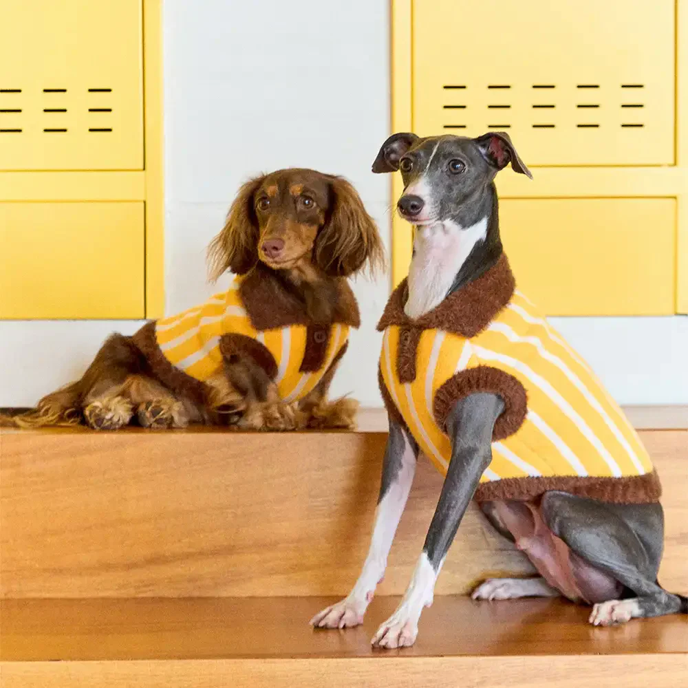 Color Blocked Striped Dachshund Polo Collar Dog Jumper - Image 5