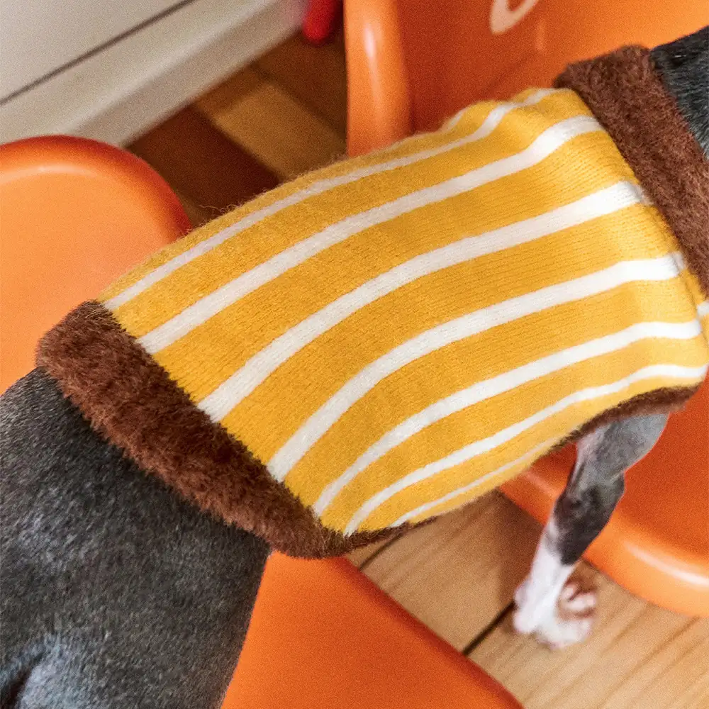 Color Blocked Striped Dachshund Polo Collar Dog Jumper - Image 7