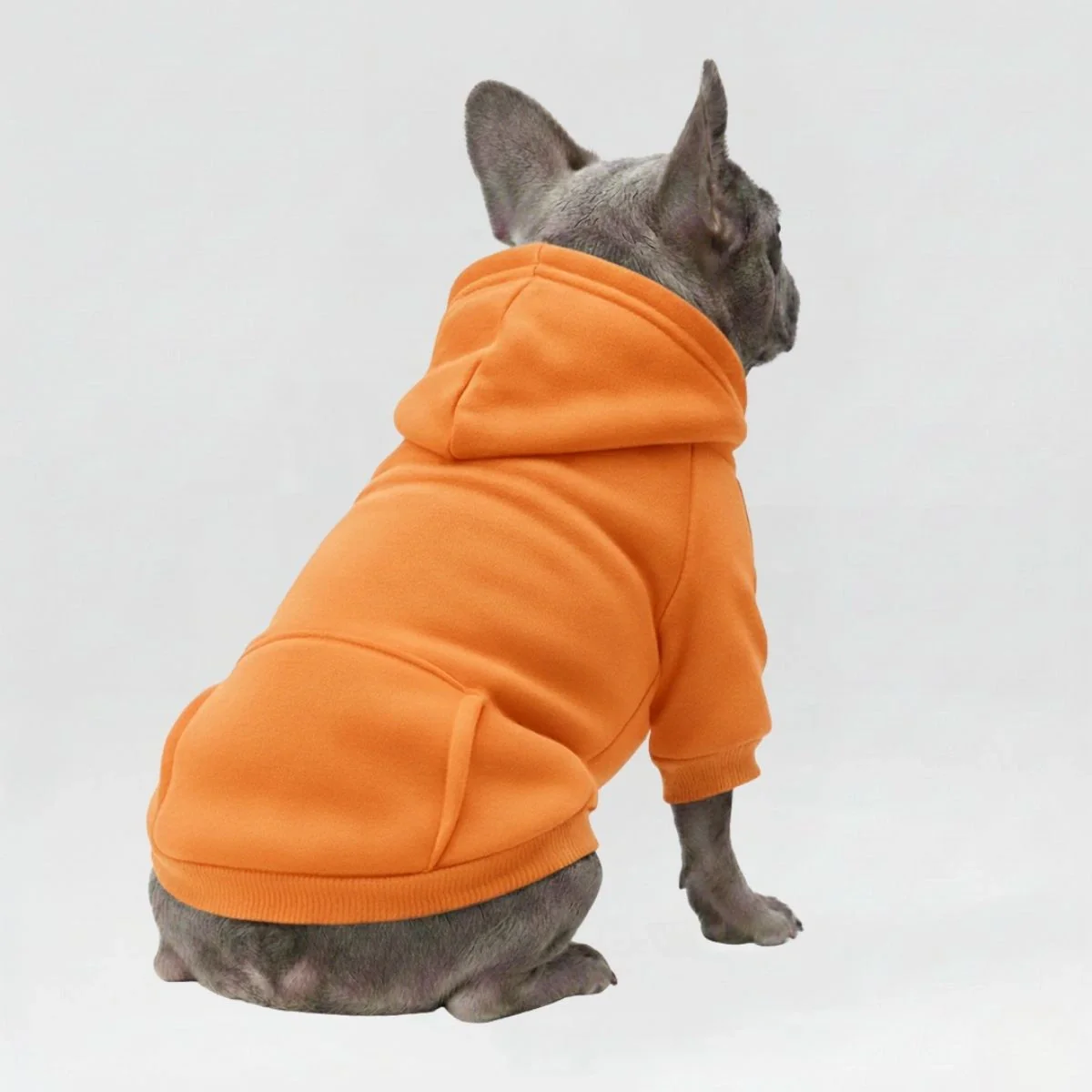 Colourful Cosy Dog Hoodies - Perfect for All-Weather Comfort - Image 5