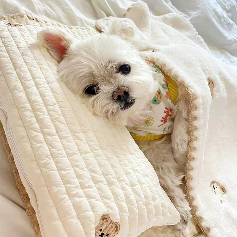 Cosy Embroidered Cotton Pet Pillow Quilt Bed Set - Image 3