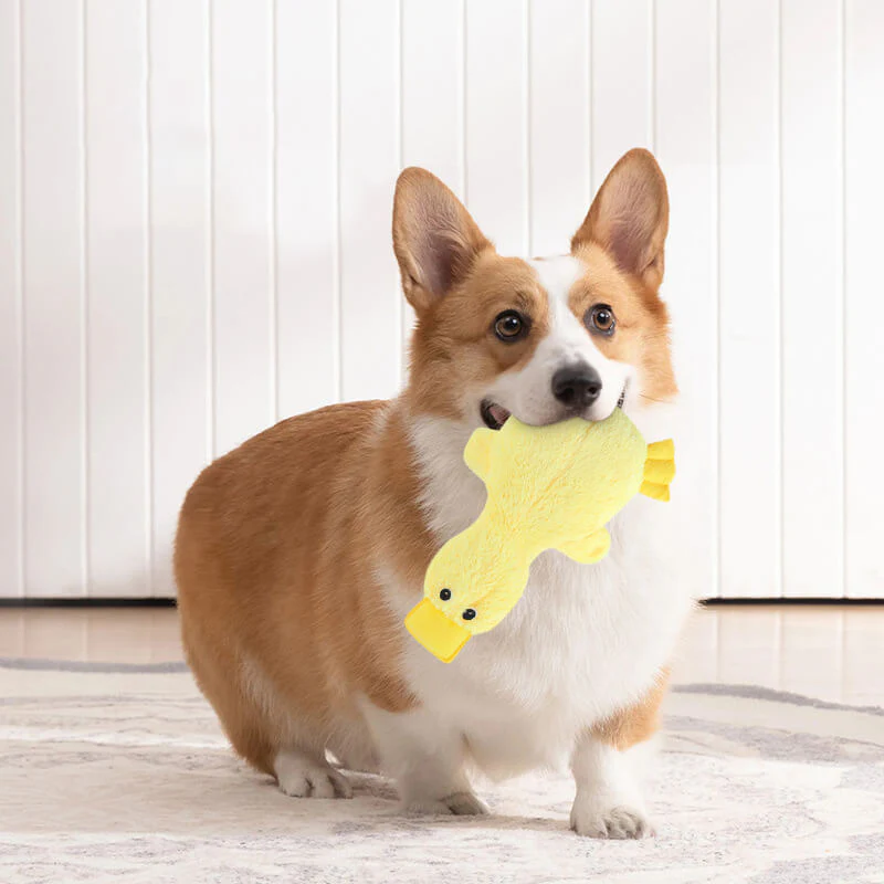 Cute Duck Plush Toy With Squeaker Dog Chew Toy-Limited Quantity - Image 4