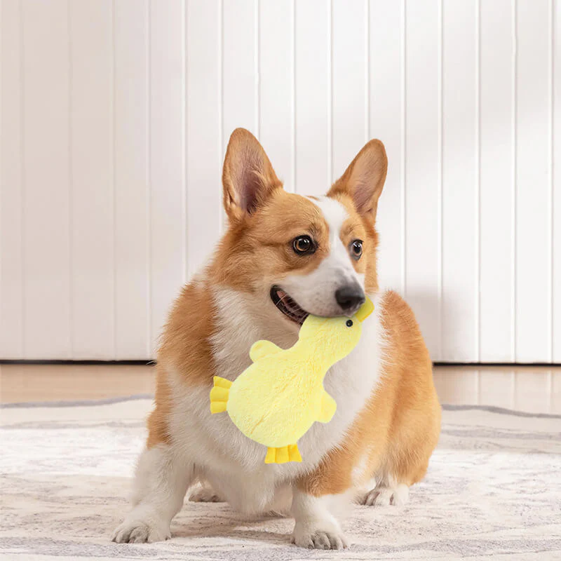Cute Duck Plush Toy With Squeaker Dog Chew Toy-Limited Quantity - Image 5