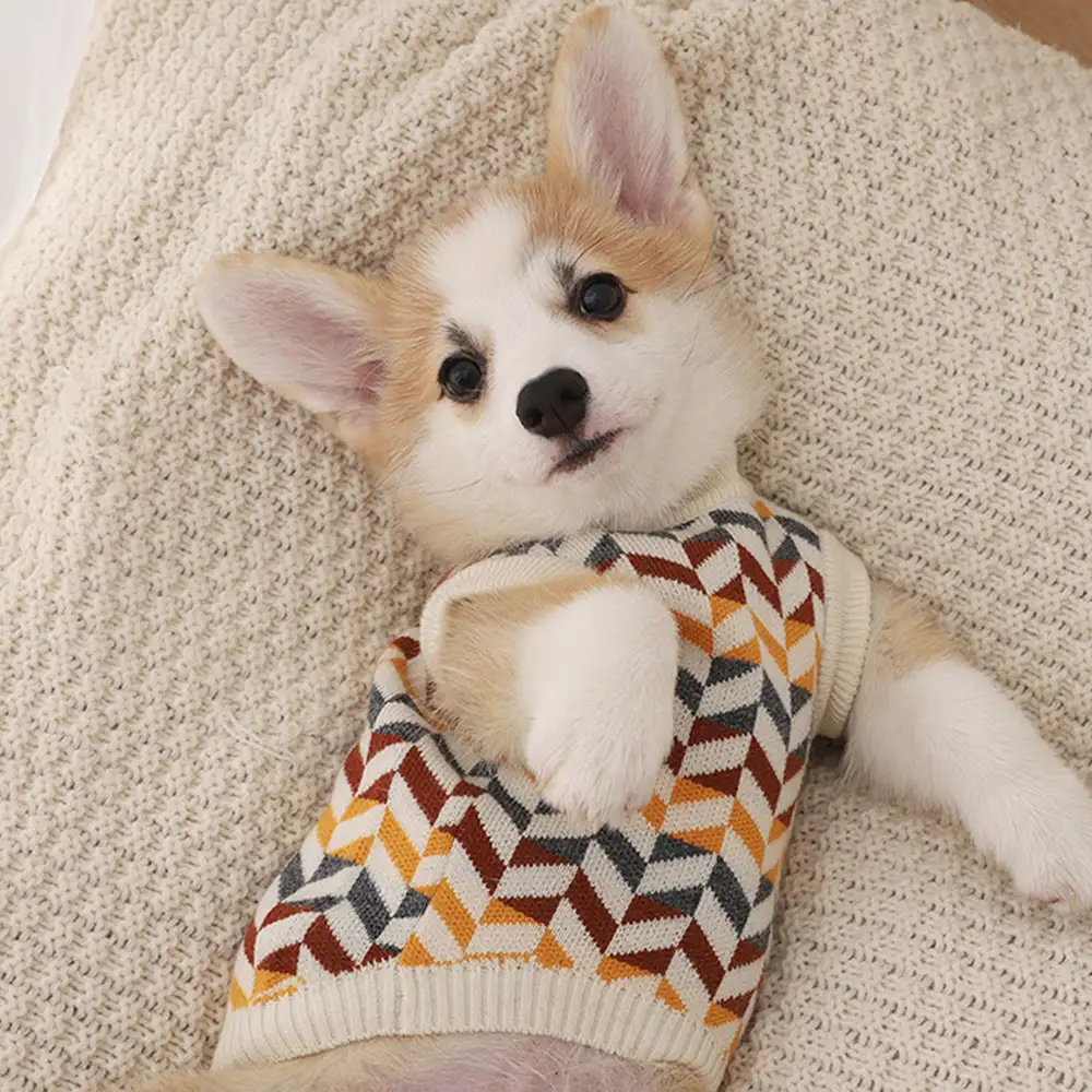 Diamond Striped Dachshund Dog Jumper - Image 3