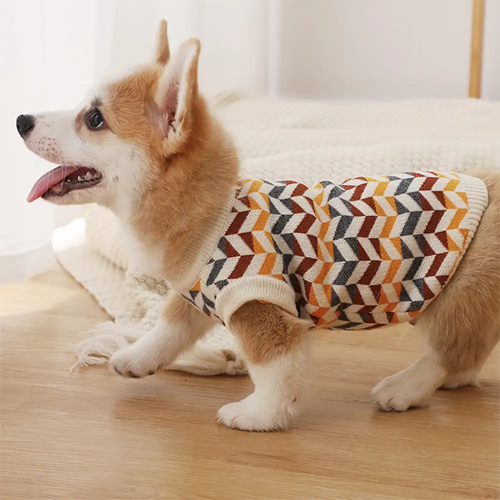 Diamond Striped Dachshund Dog Jumper - Image 9