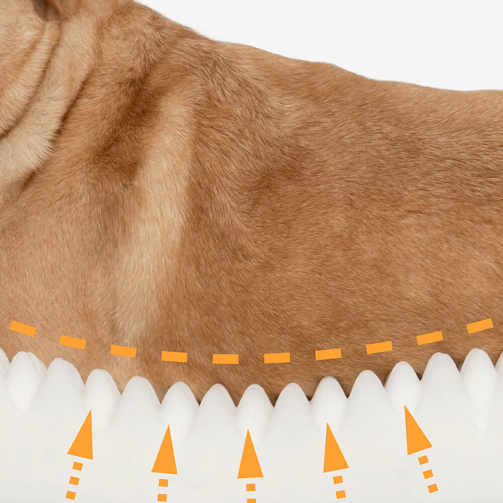 Dog Bed - Donut - Image 12