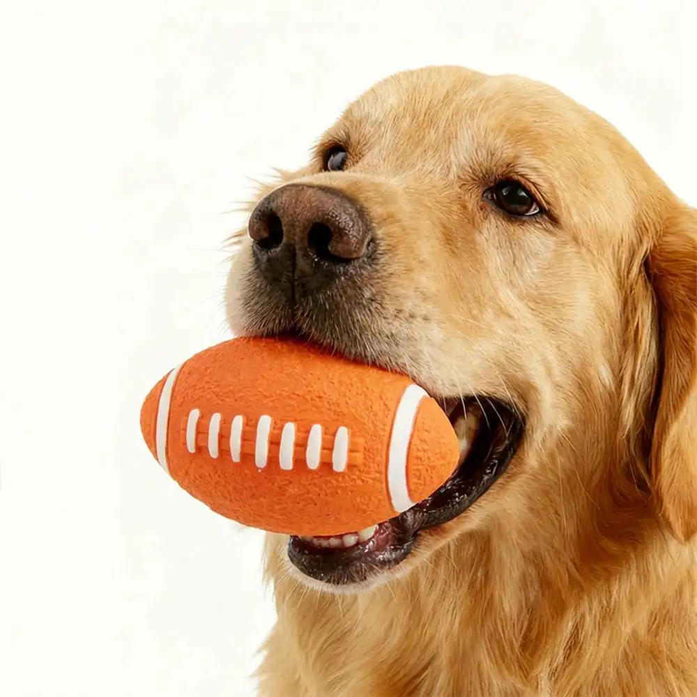 Durable Latex Teething With Squeaker Dog Chew Toy - Image 2