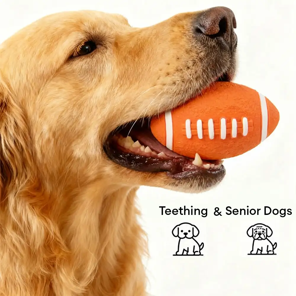 Durable Latex Teething With Squeaker Dog Chew Toy - Image 3