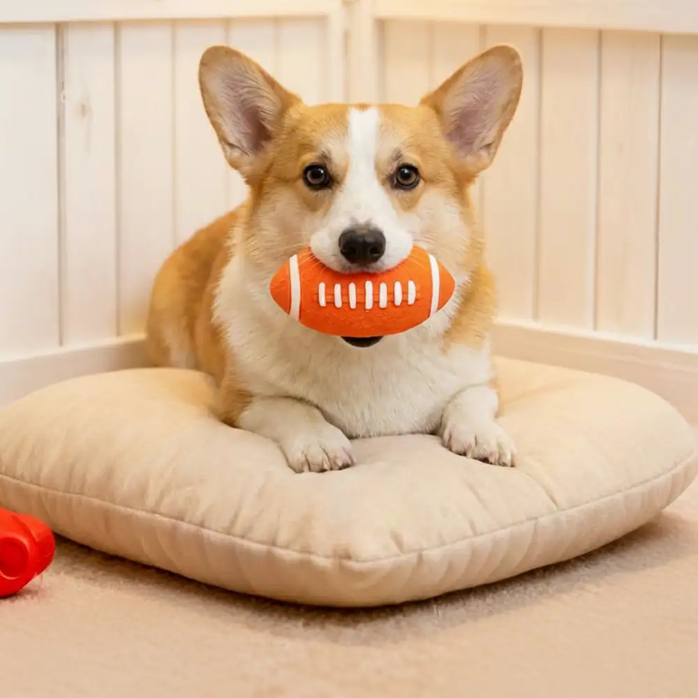 Durable Latex Teething With Squeaker Dog Chew Toy - Image 5