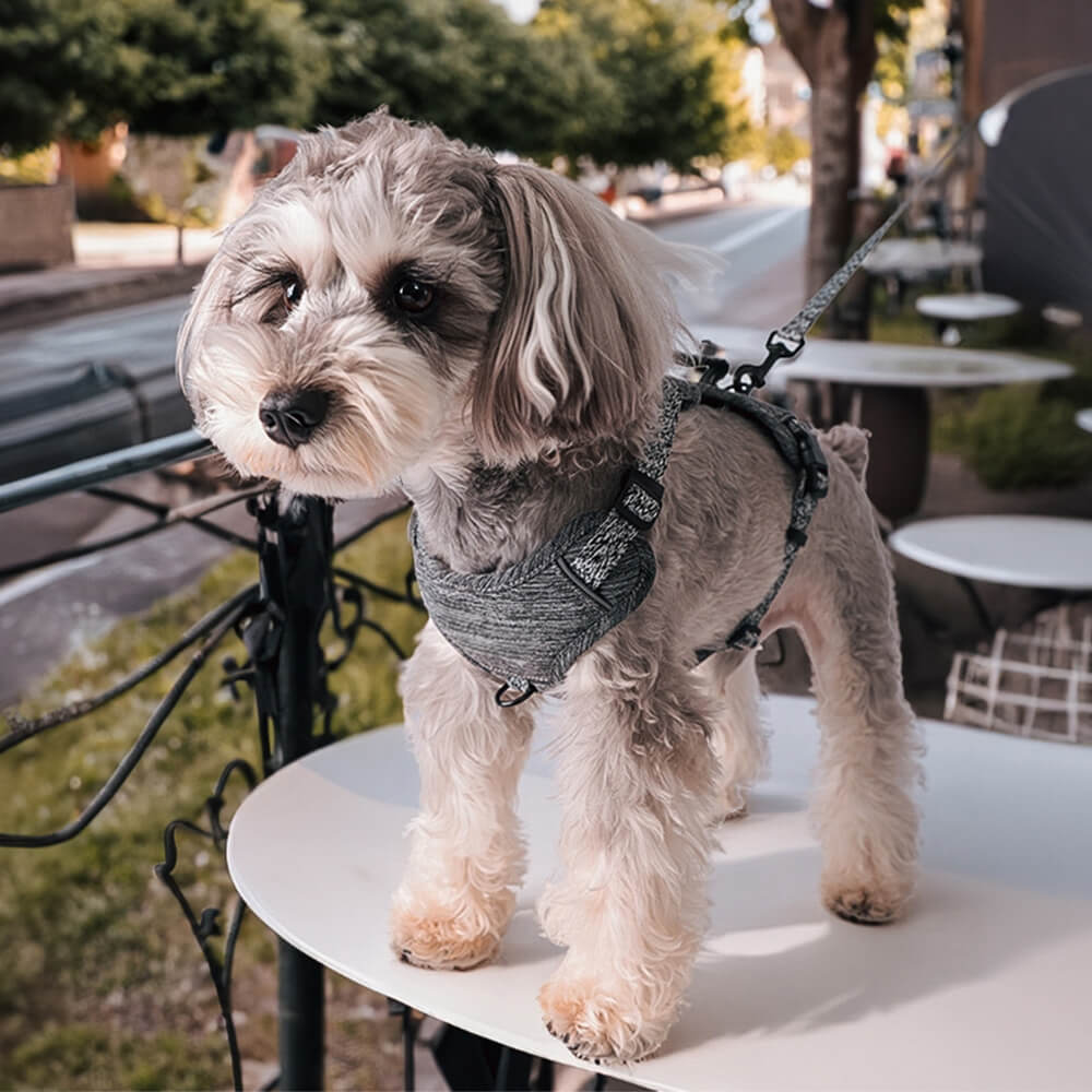 Eco-friendly Recycled Fabric No-Pull Dog Harness/Leash - Image 3