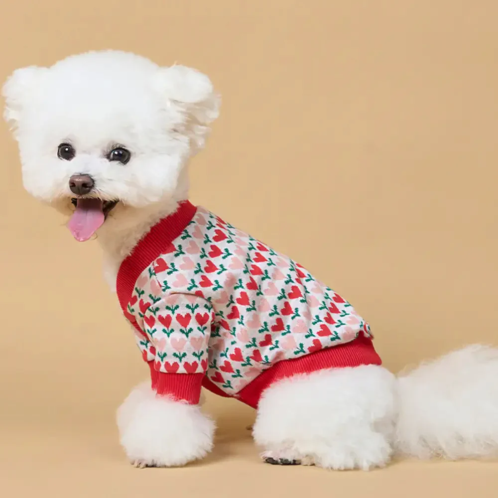 Fair Isle Heart Patterned Dachshund Cardigan Dog Jumper - Image 5