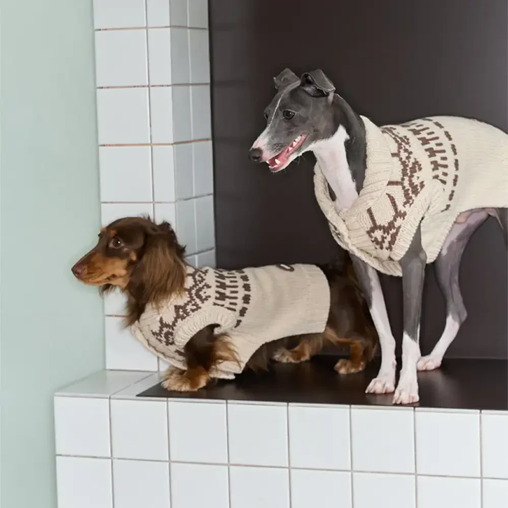 Fair Isle Pattern Dachshund Sleeveless Dog Jumper - Image 3