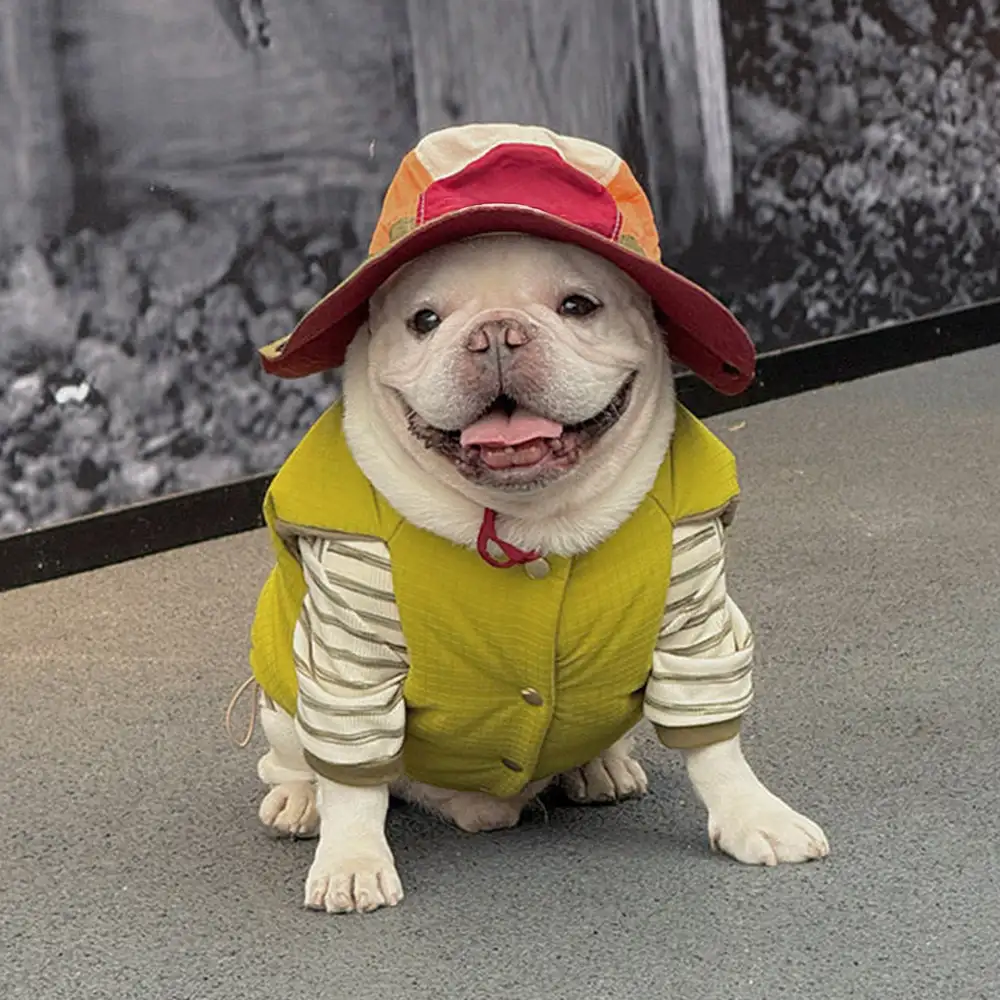 Fashion Reversible Padded Thick Warm Dog Jacket - Image 4