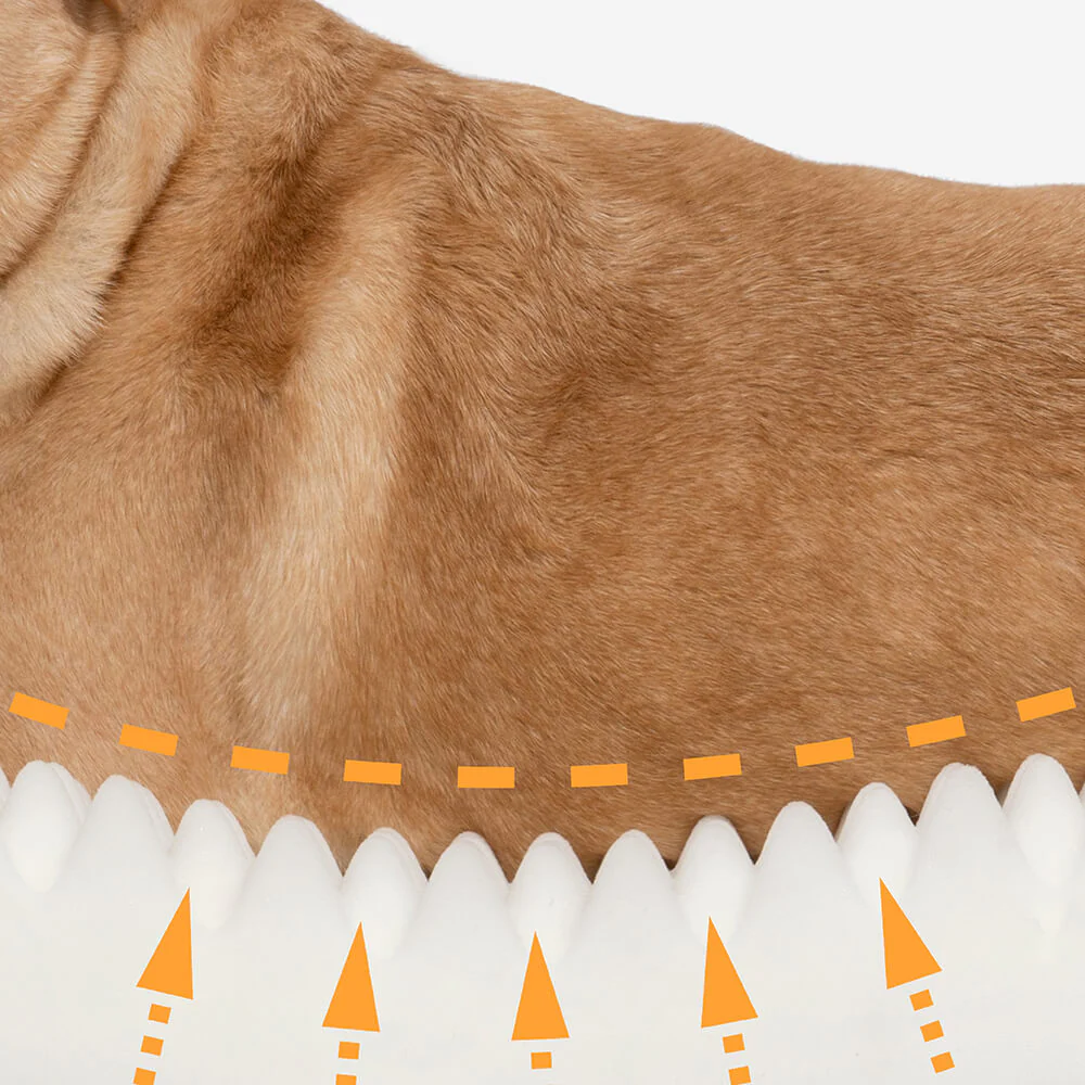 Full Support Comfortable Orthopaedic Dog Bed - Image 4