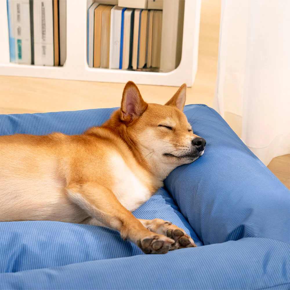 Fully Orthopaedic Surround Support Waterproof Fabric Anti-Anxiety Large Dog Bed - Image 10