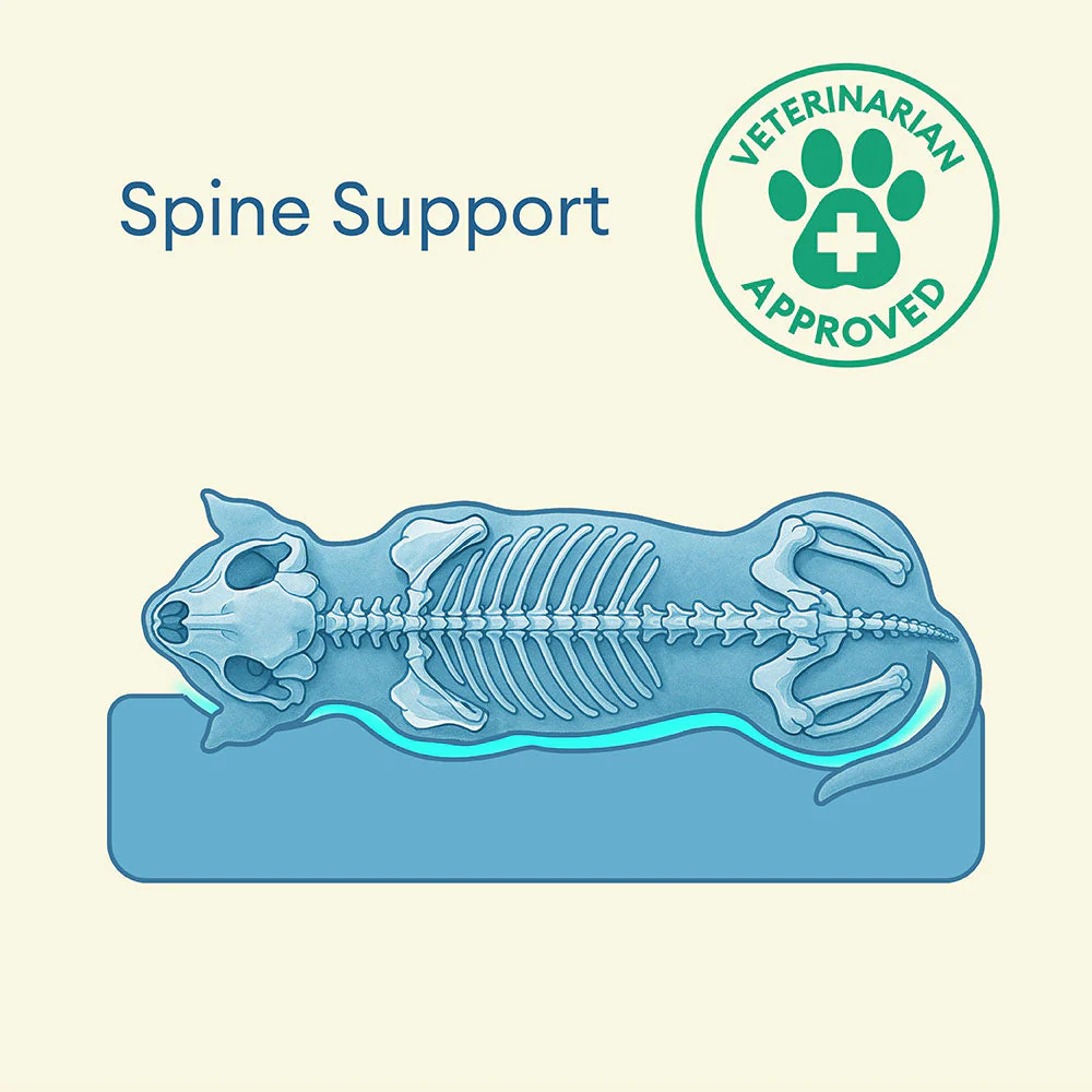 Fully Orthopaedic Surround Support Waterproof Fabric Anti-Anxiety Large Dog Bed - Image 6