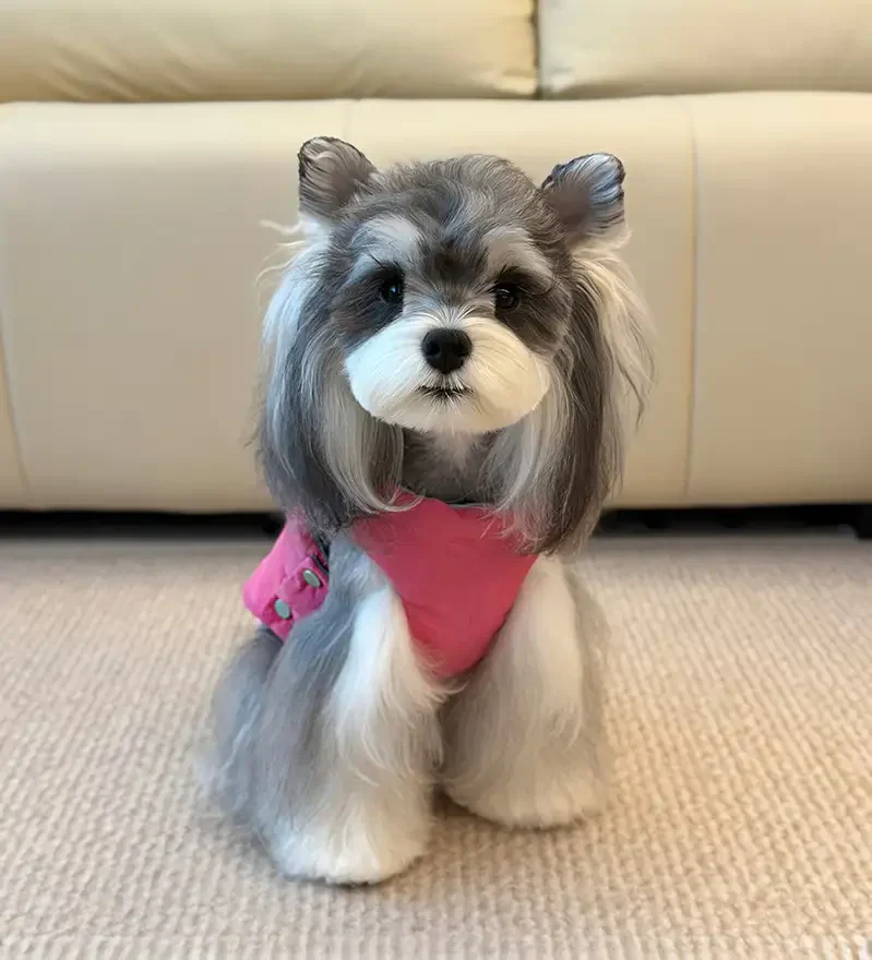 Functional Color-Block Dual-Sided Reversible Wear Dog Vest Coat - Image 10
