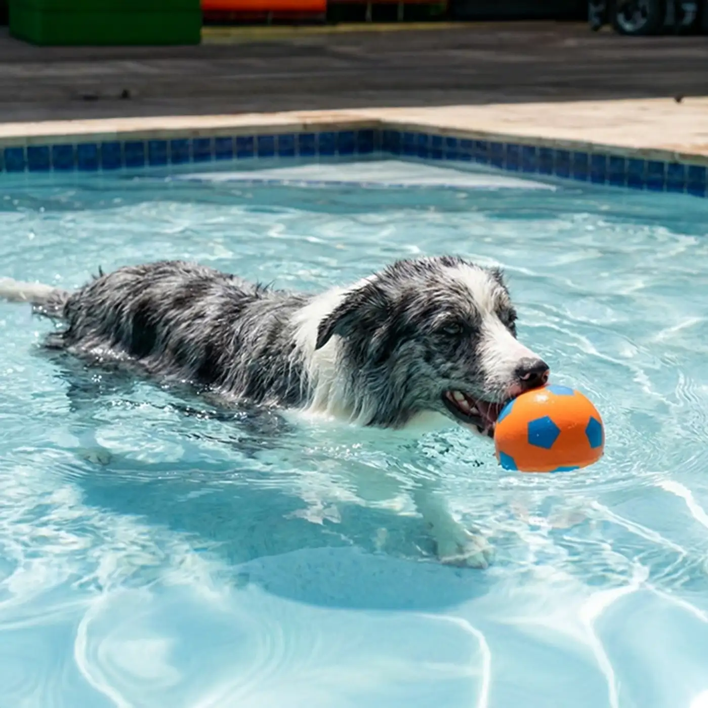 Funny High Elasticity Floating Football Dog Toy - Image 2