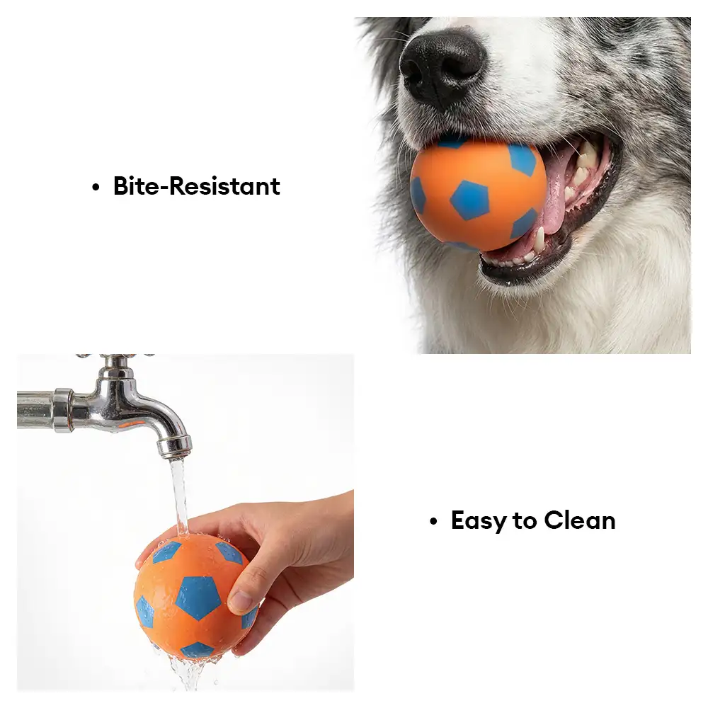 Funny High Elasticity Floating Football Dog Toy - Image 7