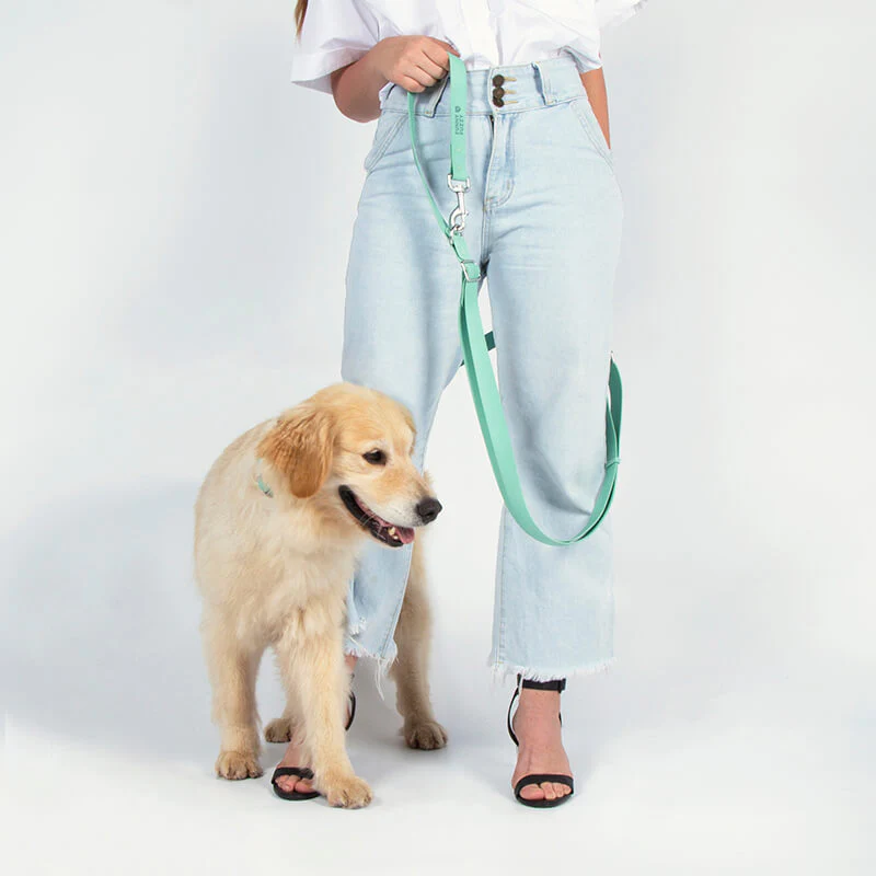 Gummy Dog Leash - Image 2