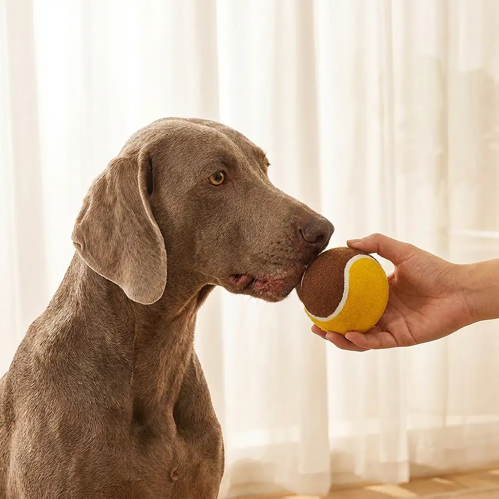 Interactive Tennis Ball Dog Toy - Image 3