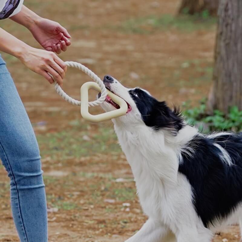 Interactive Tug-of-War Dog Toy Teeth Cleaning Rubber Chew Toy - Image 3