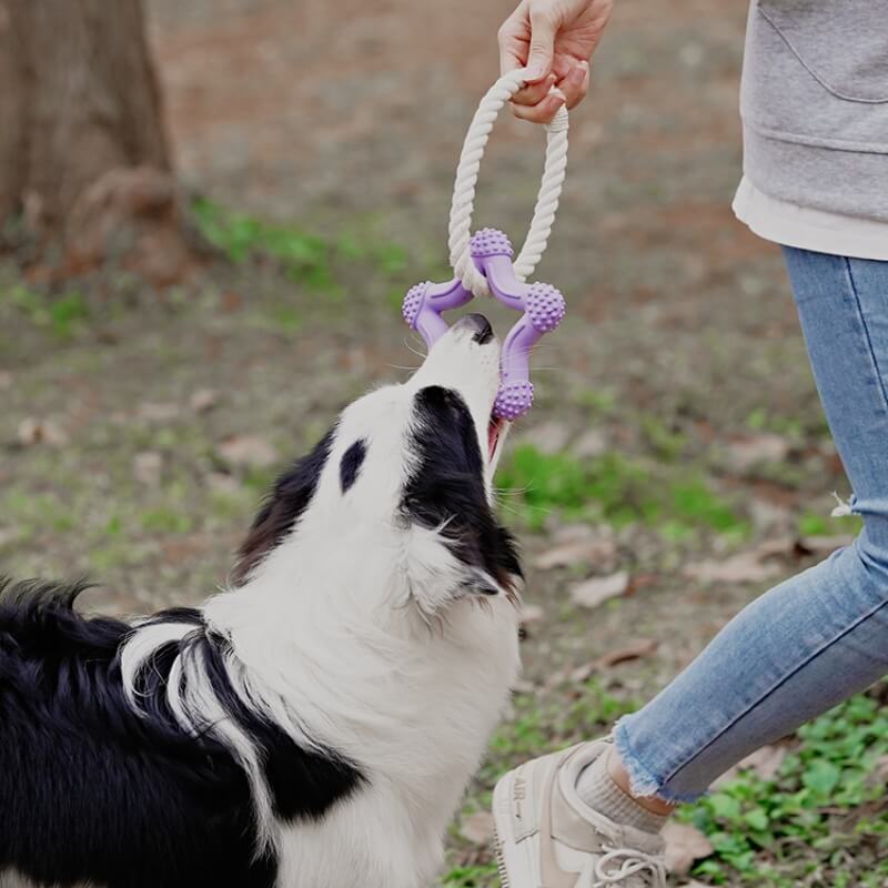 Interactive Tug-of-War Dog Toy Teeth Cleaning Rubber Chew Toy - Image 5