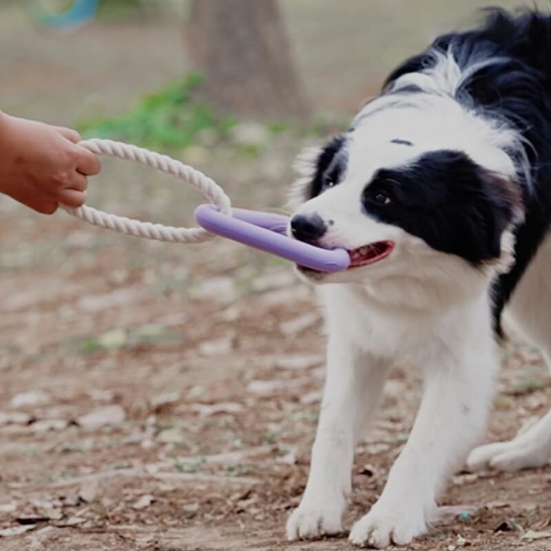 Interactive Tug-of-War Dog Toy Teeth Cleaning Rubber Chew Toy - Image 7
