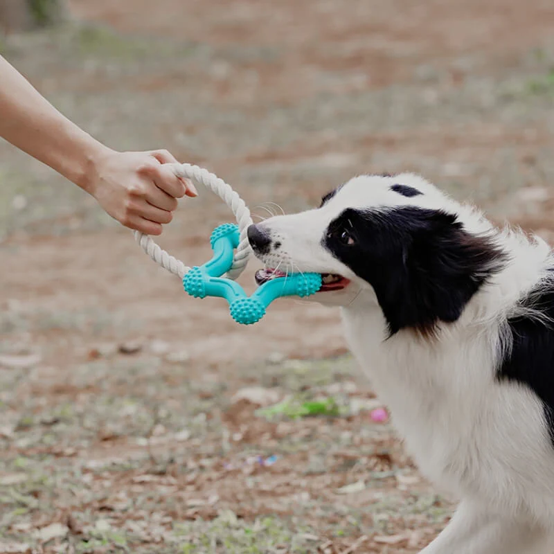 Interactive Tug-of-War Dog Toy Teeth Cleaning Rubber Chew Toy - Image 8