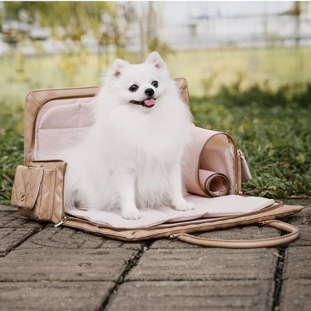 Large Carrying Stylish Multi-Functional Human-Dog Shared Travel Pet Bag - Wandering Tail - Image 10