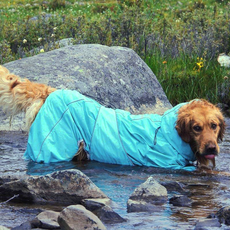 Large Dog Outdoor Jacket Waterproof Adjustable Dog Rain Coat - Image 10