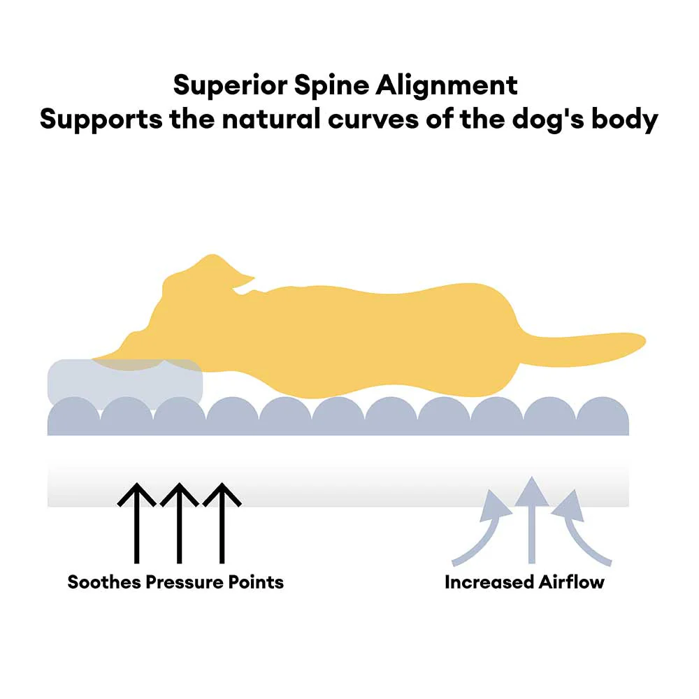 Large Soft Supportive Headrest Orthopaedic Dog Sofa Bed - Cloudy Napper - Image 4