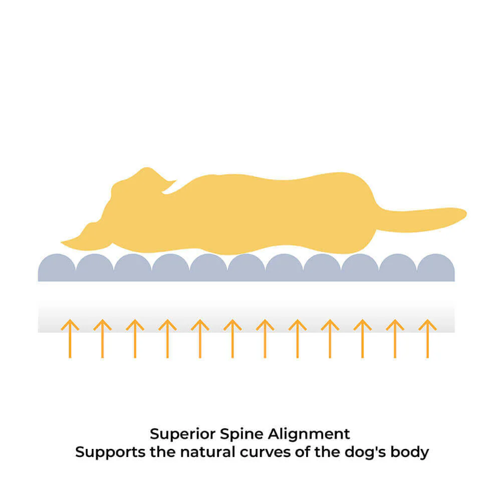 Large Washable Creamy Cosy Flat Dog Beds - Cheesecake - Image 4