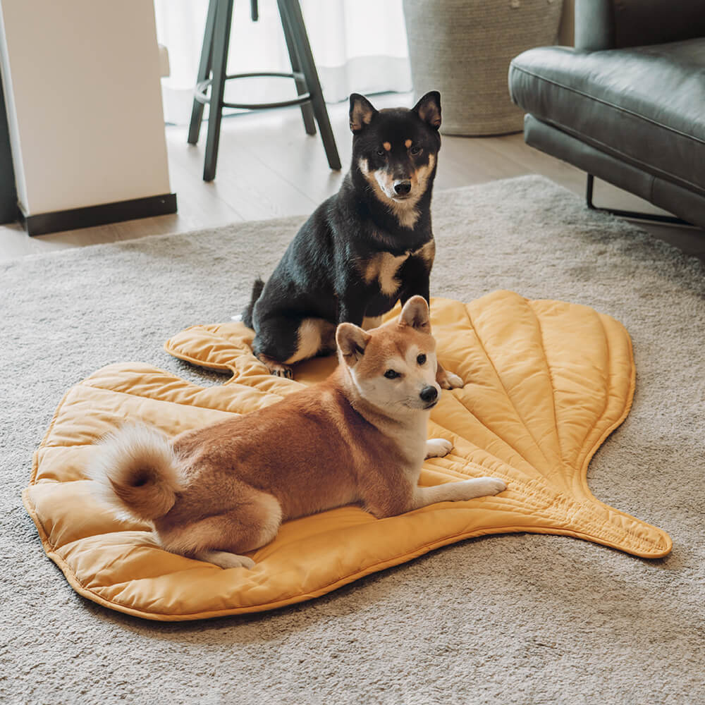 Leaf Shape Dog Blanket - Image 12
