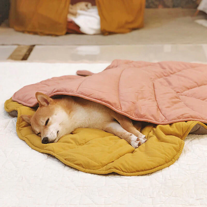 Leaf Shape Dog Blanket - Image 13